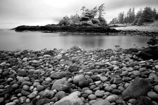 Infrared, Pacific Rim National Park