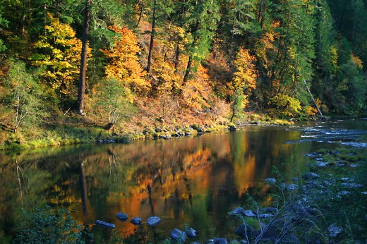 North Umpqua River from camera